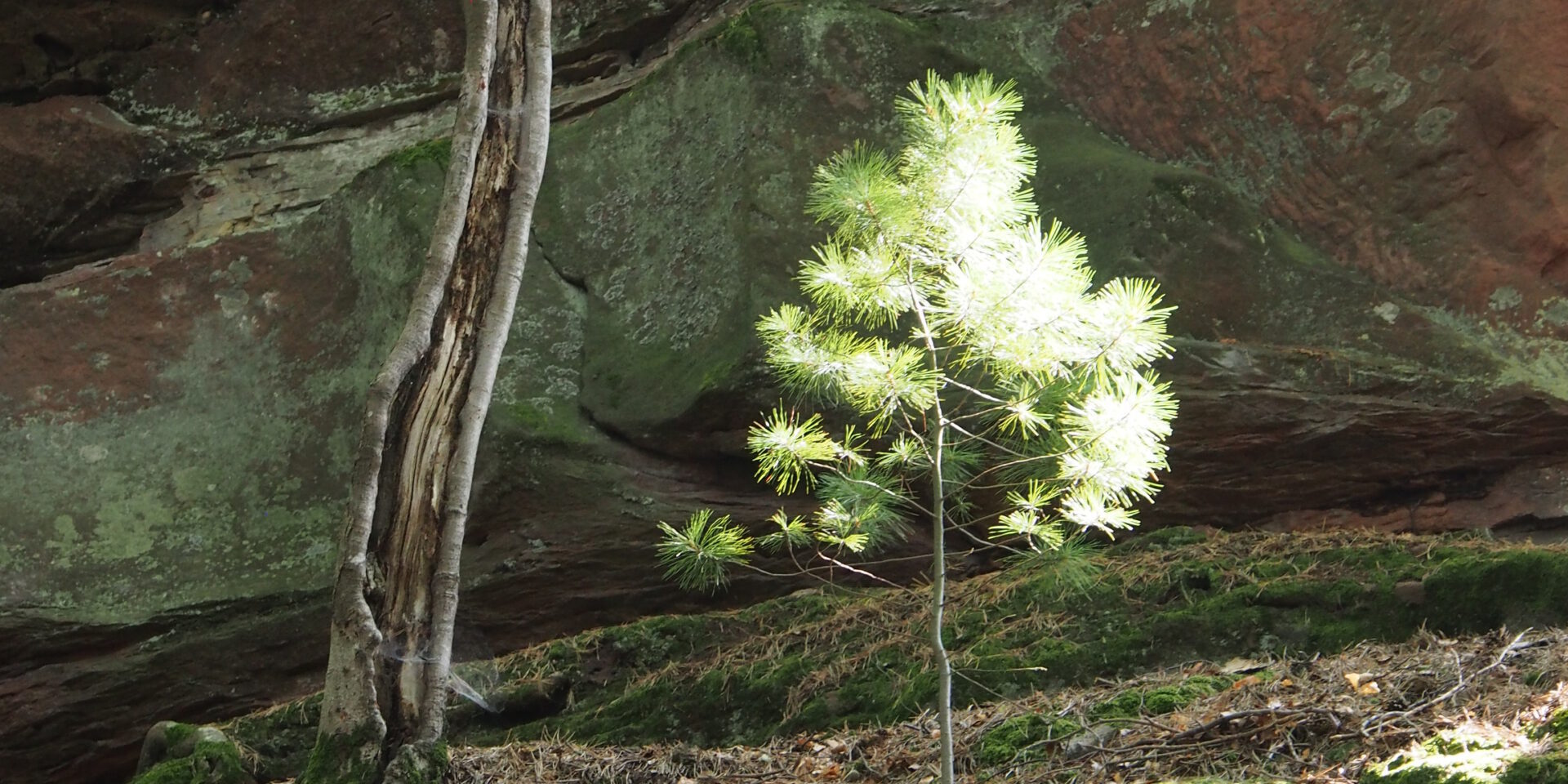 Würdige dich selbst
