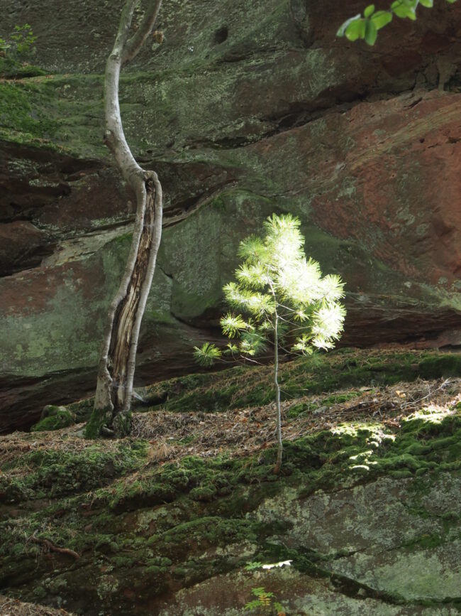 Würdige dich selbst